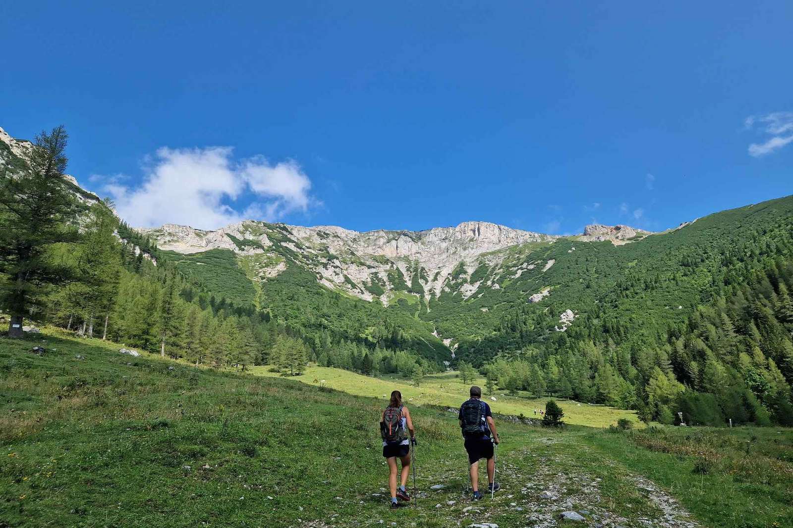Viena: excursión de senderismo por la montaña Rax con guía y traslado