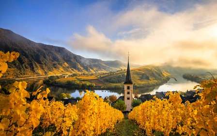 Desde Viena: excursión de 1 día al valle del Wachau con cata de vino
