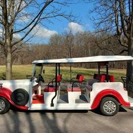 Viena: tour turístico en coche clásico 90 min E/T