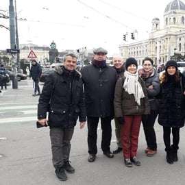 Viena: Visita a pie del casco antiguo con un guía local