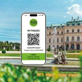 Viena: Flexipass para 2, 3, 4 o 5 lugares de interés