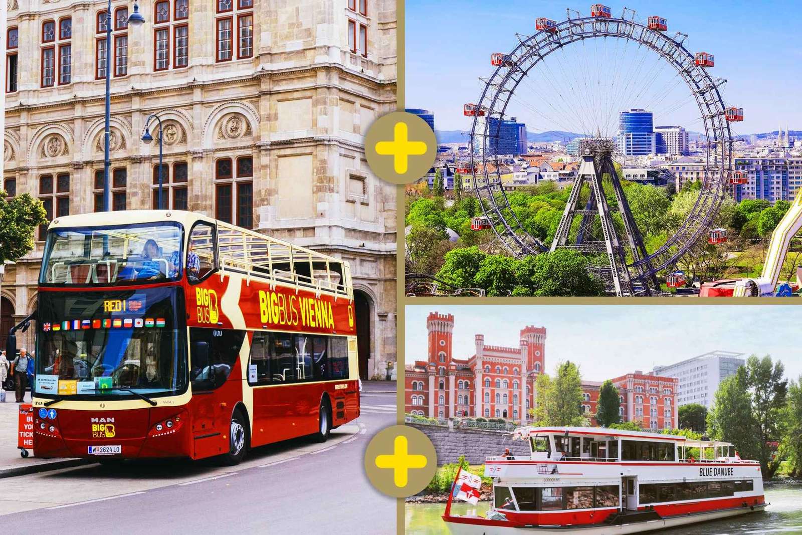 Viena: Palacio de Schönbrunn, crucero por el río y pase turístico Big Bus