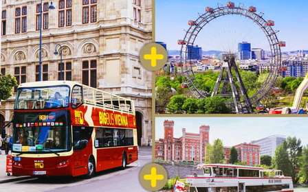 Viena: Palacio de Schönbrunn, crucero por el río y pase turístico Big Bus