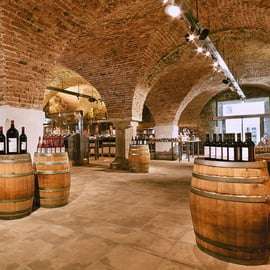 Viena: Cata de vinos en bicicleta eléctrica