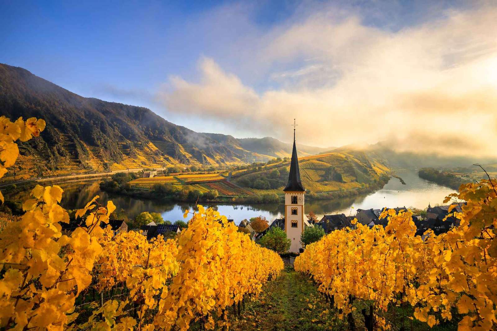 Desde Viena: excursión de 1 día al valle del Wachau con cata de vino
