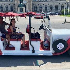 Viena: tour turístico en coche clásico 90 min E/T
