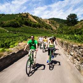 Pastoreio de uvas: Passeio de bicicleta pelas adegas do Vale de Wachau