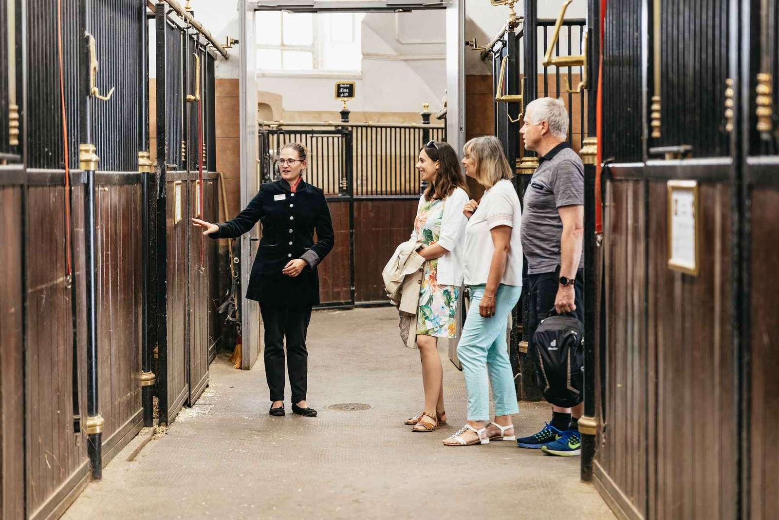 Visita guiada a la Escuela Española de Equitación de Viena